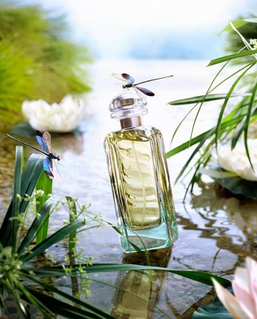 Fresh Perfume Bottle